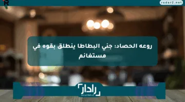 روعة الحصاد: جني البطاطا ينطلق بقوة في مستغانم